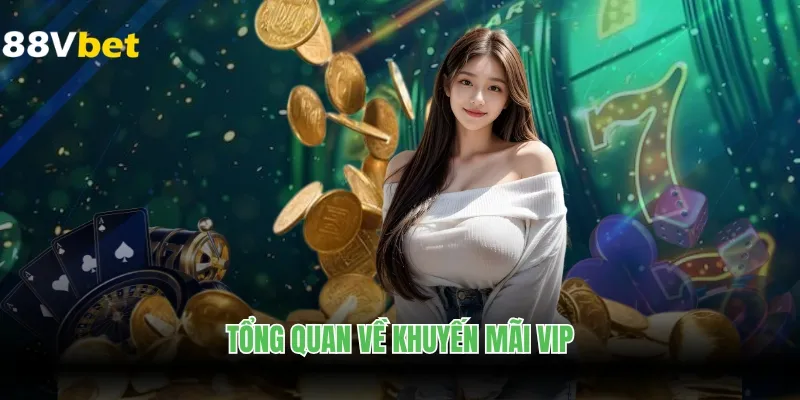 Tổng quan về khuyến mãi VIP